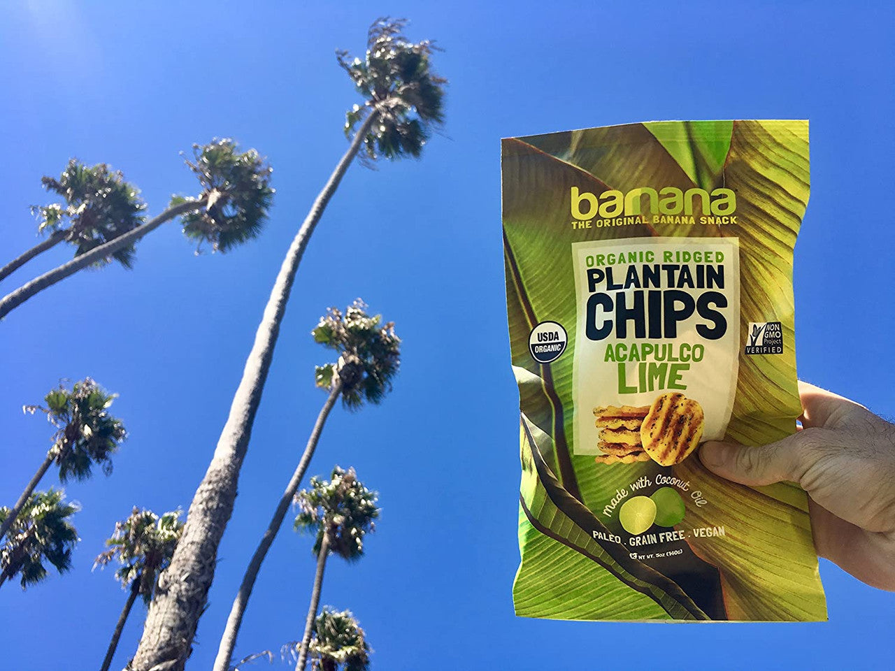 Hand holding Organic Avocado Lime Chips - Plantain Snack bag against a blue sky with palm trees. Promotes a tropical, healthy lifestyle vibe.