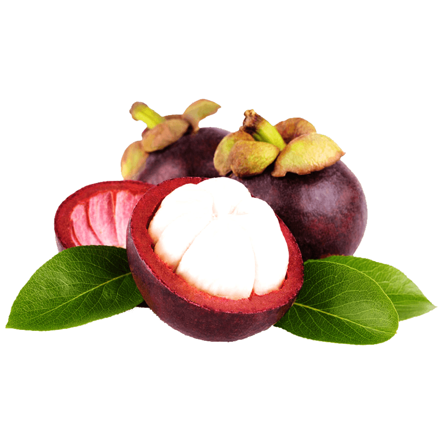 Freeze-Dried Mangosteen