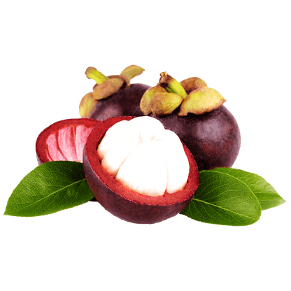 Freeze-Dried Mangosteen