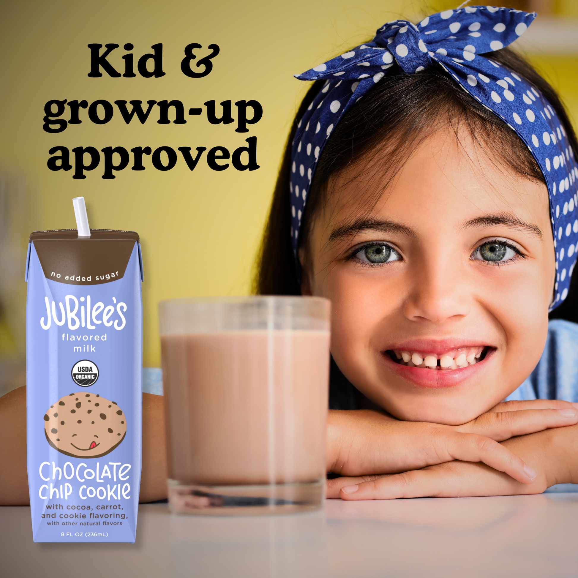 Chocolate Chip Cookie Organic Whole Milk Boxes 12-pack - milk