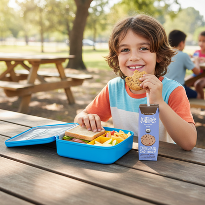 Chocolate Chip Cookie Organic Whole Milk Boxes, 12-pack