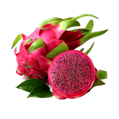 Freeze-Dried Red Dragon Fruit - Fruit Snacks