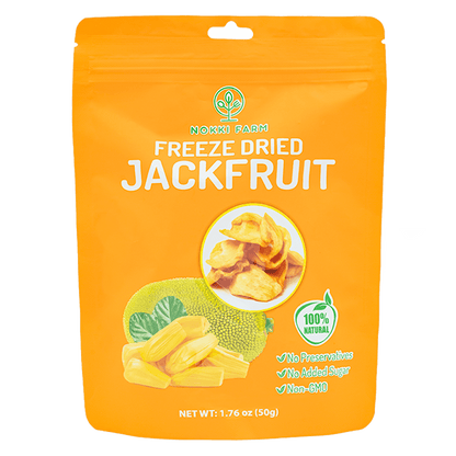 Freeze-Dried Jackfruit - Regular