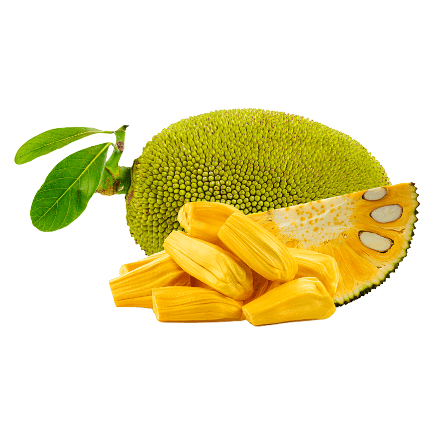 Freeze-Dried Jackfruit