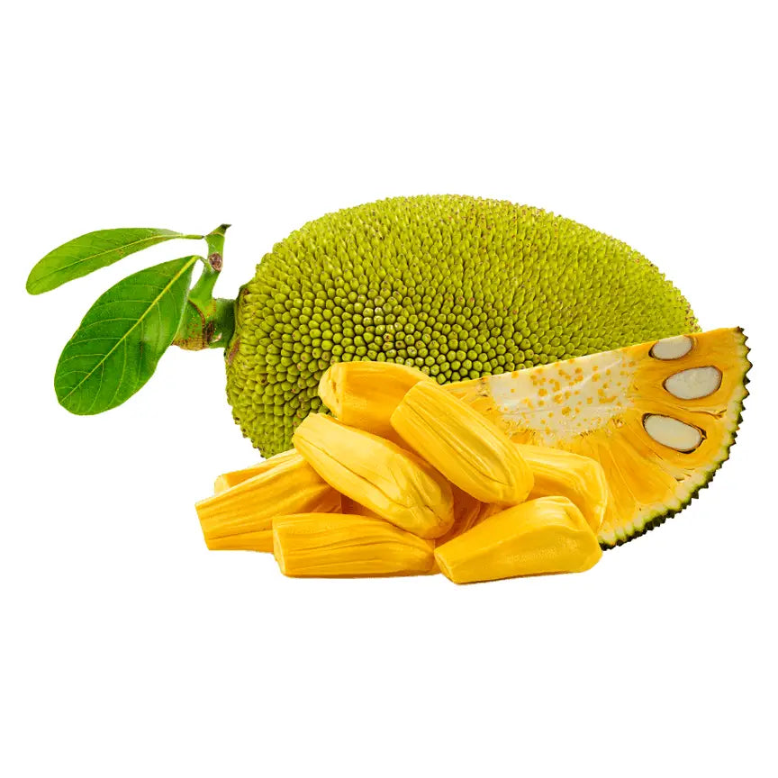 Freeze-Dried Jackfruit